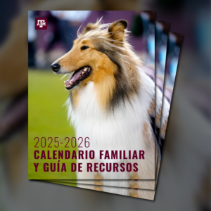 Marketplace Graphic-02 Family Calendar 2025-2026